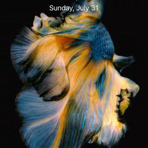 Meet your Posher, Daniel